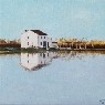 Albufera 7